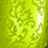 Lemon-Grass